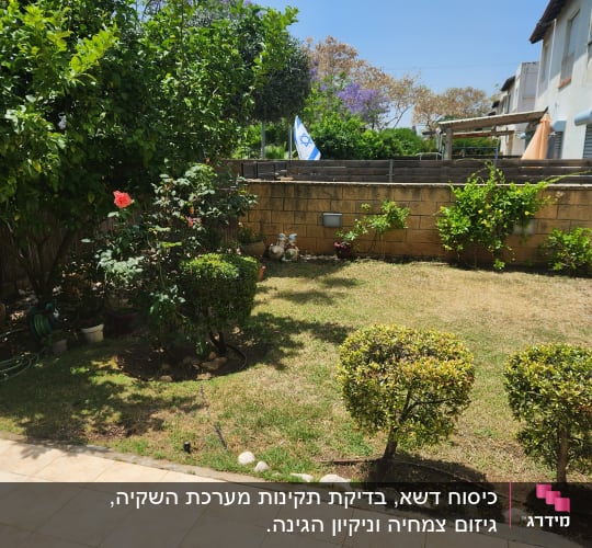 גינה עם שיחים, דשא וצינור השקיה